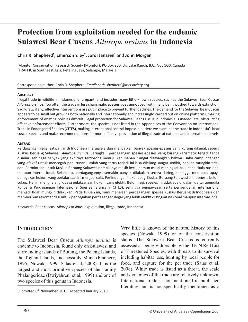 Protection from Exploitation Needed for the Endemic Sulawesi Bear Cuscus Ailurops Ursinus in Indonesia