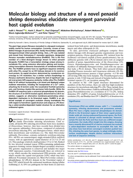 Molecular Biology and Structure of a Novel Penaeid Shrimp Densovirus Elucidate Convergent Parvoviral Host Capsid Evolution