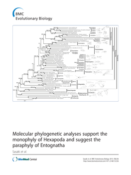 Molecular Phylogenetic Analyses Support the Monophyly of Hexapoda and Suggest the Paraphyly of Entognatha Sasaki Et Al