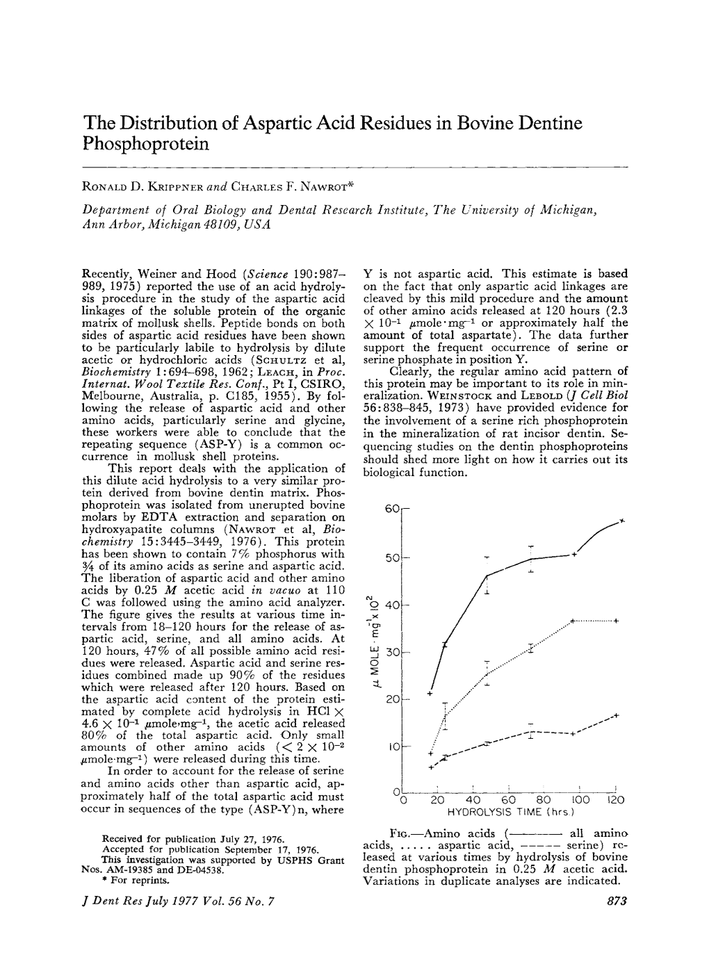 The Distribution of Aspartic Acid Residues in Bovine Dentine Phosphoprotein