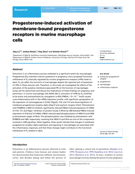 Progesterone-Induced Activation of Membrane-Bound Progesterone Receptors in Murine Macrophage Cells
