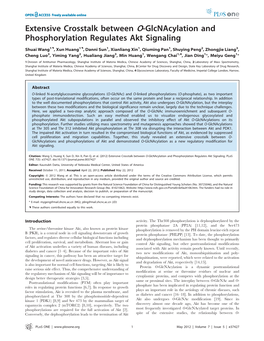 Extensive Crosstalk Between O-Glcnacylation and Phosphorylation Regulates Akt Signaling
