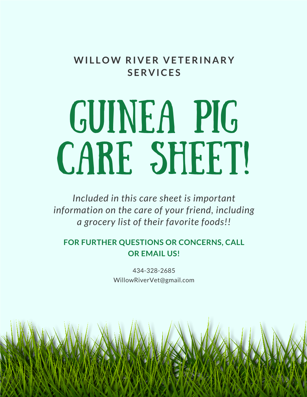 Guinea Pig Care Sheet!