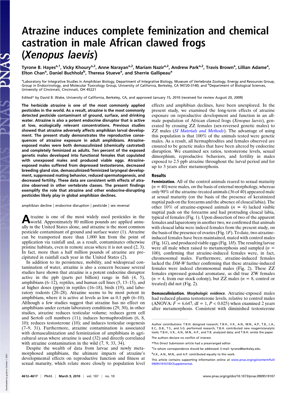 Atrazine Induces Complete Feminization and Chemical Castration in Male African Clawed Frogs (Xenopus Laevis)