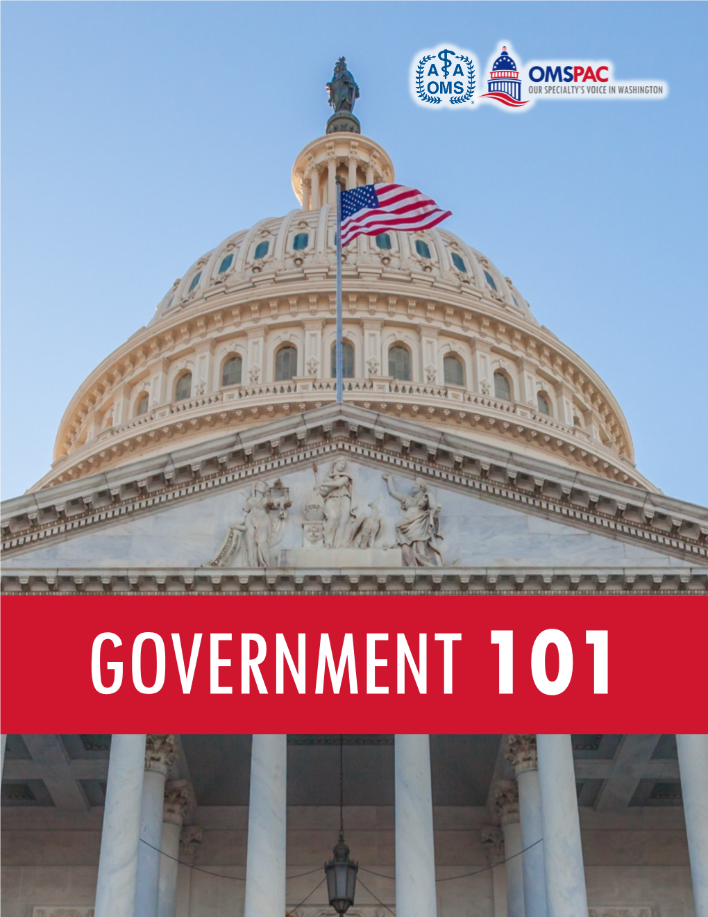 Government 101