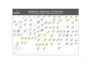 Metabolic Pathways of Steroids Department of Clinical Biochemistry, King’S College Hospital, London