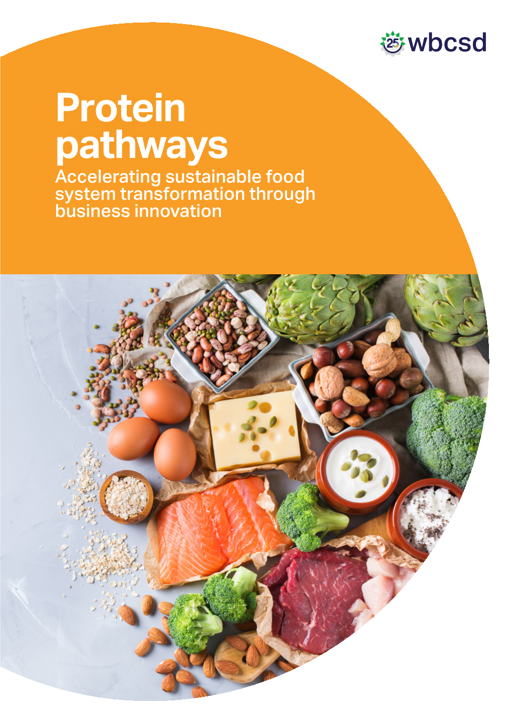 Protein Pathwaysaccelerating Sustainable Food System Transformation Through Business Innovation