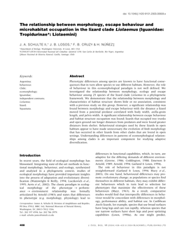 The Relationship Between Morphology, Escape Behaviour and Microhabitat Occupation in the Lizard Clade Liolaemus (Iguanidae: Tropidurinae*: Liolaemini)