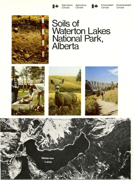Soils of Waterton Lakes National Park, Alberta Soils of Waterton Lakes National Park, Alberta