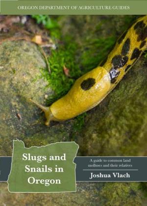 Slugs and Snails in Oregon Guide