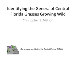 Identifying the Genera of Central Florida Grasses Growing Wild Christopher S