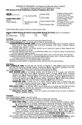 HORSE in TRAINING, Consigned by Baroda Stud, Ireland on Behalf of Beechdown Farm Stables (C