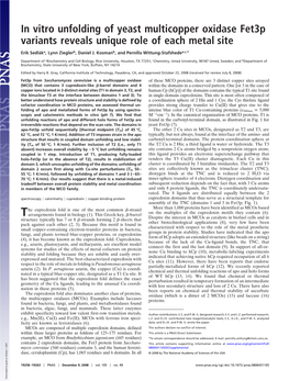 In Vitro Unfolding of Yeast Multicopper Oxidase Fet3p Variants Reveals Unique Role of Each Metal Site