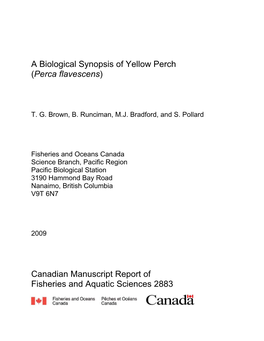 A Biological Synopsis of Yellow Perch (Perca Flavescens)