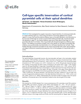 Cell-Type Specific Innervation of Cortical Pyramidal Cells at Their
