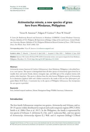 Actinostachys Minuta, a New Species of Grass Fern from Mindanao, Philippines