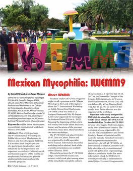 About Iwemms of Mesoamerica