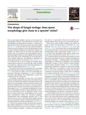 The Shape of Fungal Ecology: Does Spore Morphology Give Clues to a Species’ Niche?