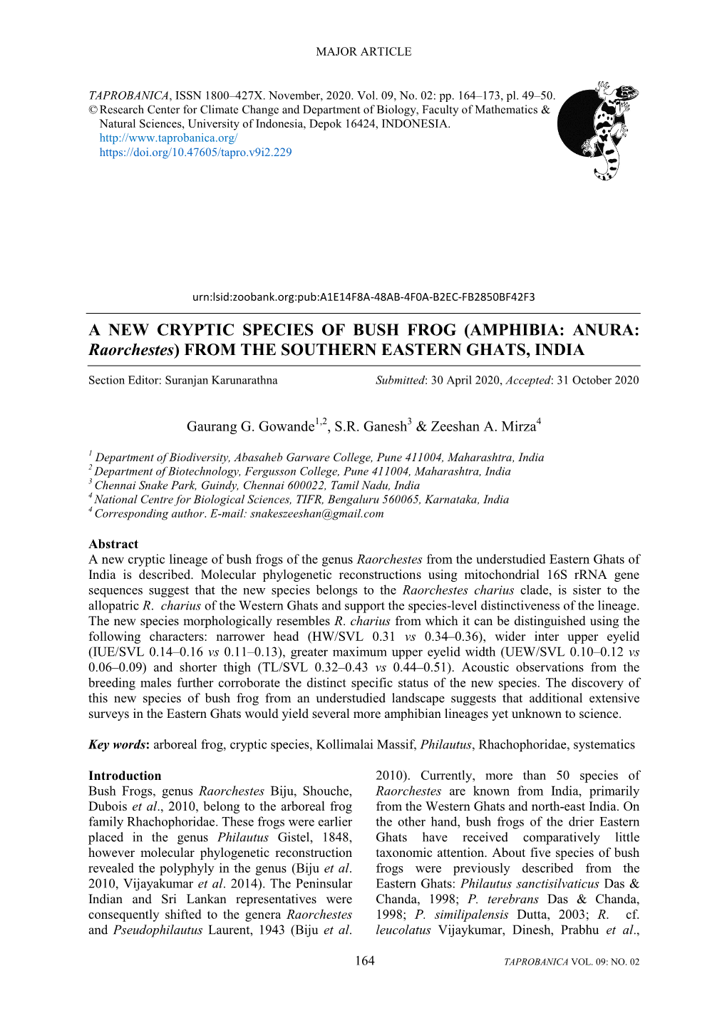 A NEW CRYPTIC SPECIES of BUSH FROG (AMPHIBIA: ANURA: Raorchestes) from the SOUTHERN EASTERN GHATS, INDIA