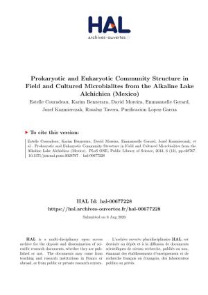 Prokaryotic and Eukaryotic Community
