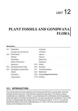 Plant Fossils and Gondwana Flora