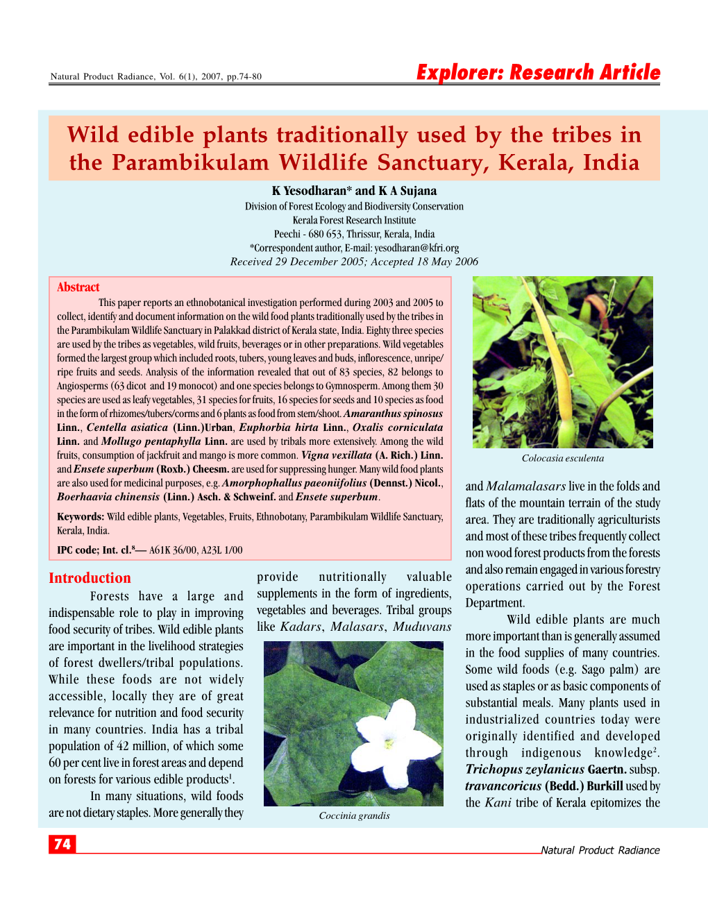 Wild Edible Plants Traditionally Used By The Tribes - DocsLib