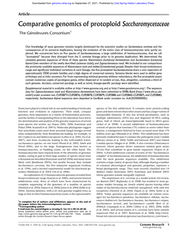 Comparative Genomics of Protoploid Saccharomycetaceae