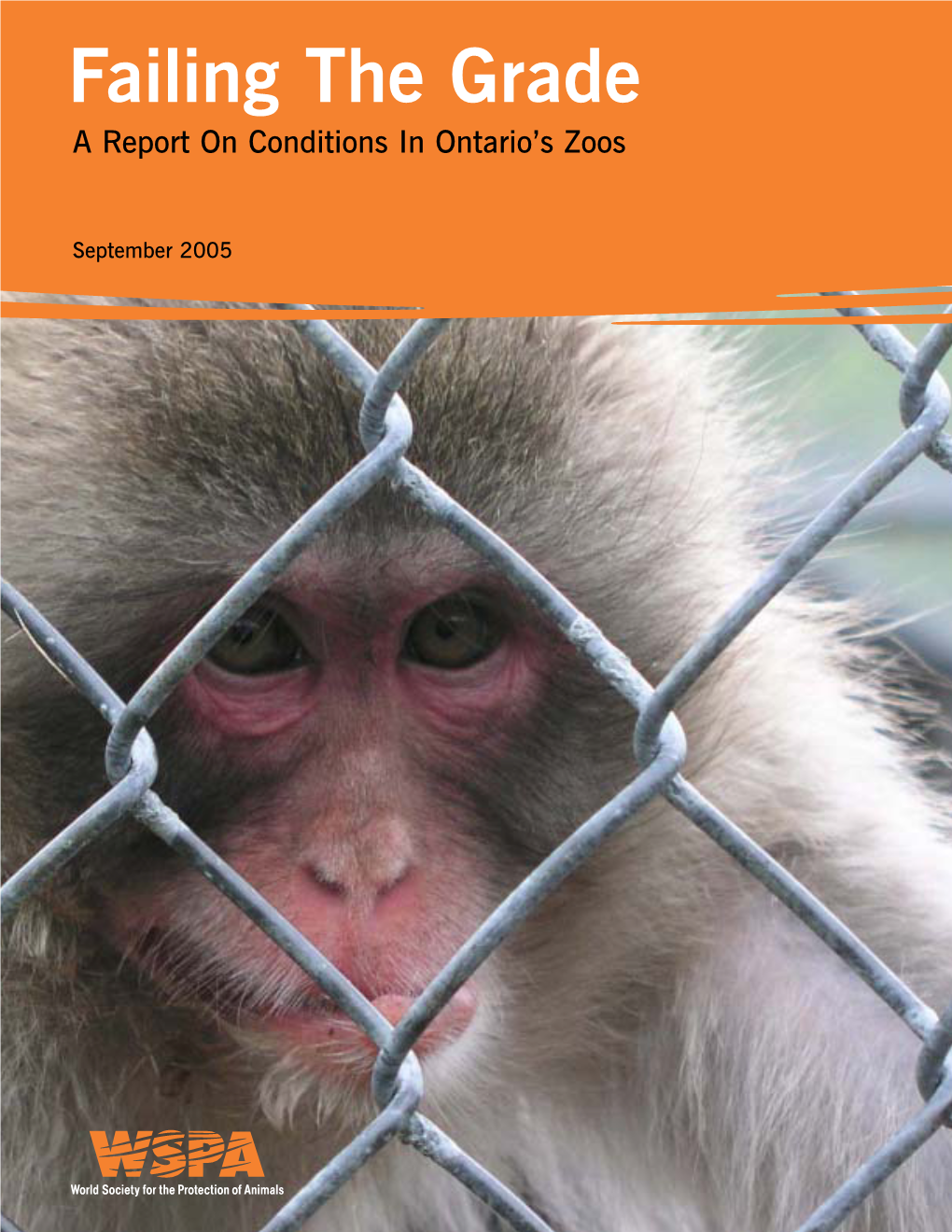 Failing the Grade: a Report on Conditions in Ontario's Zoo (2005)