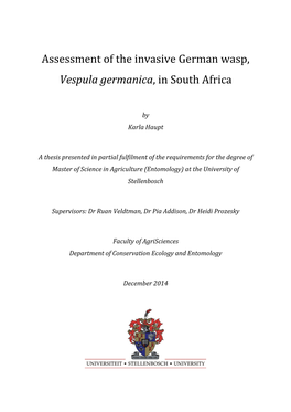 Vespula Germanica, in South Africa