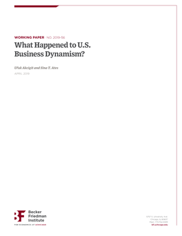 What Happened to U.S. Business Dynamism?