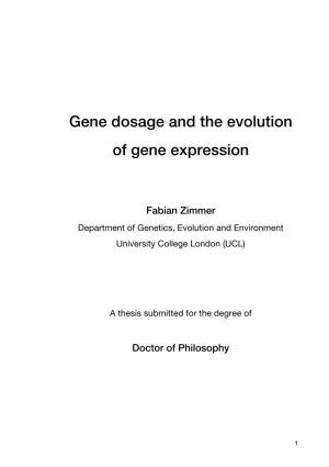 Gene Dosage and the Evolution of Gene Expression