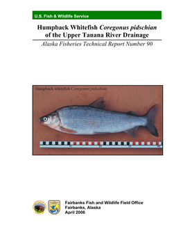 Humpback Whitefish Coregonus Pidschian of the Upper Tanana River Drainage Alaska Fisheries Technical Report Number 90