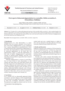 First Report of Abnormal Pigmentation in a Surmullet, Mullus Surmuletus L