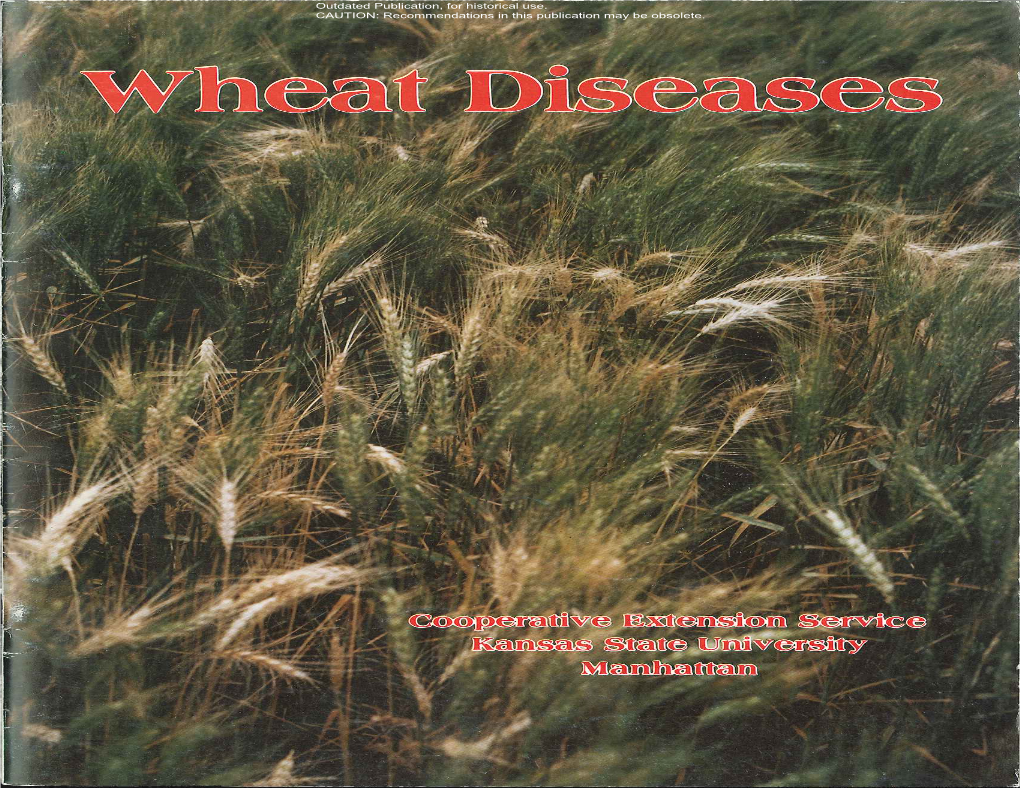 S23 Wheat Diseases