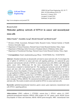Molecular Pathway Network of EFNA1 in Cancer and Mesenchymal Stem Cells