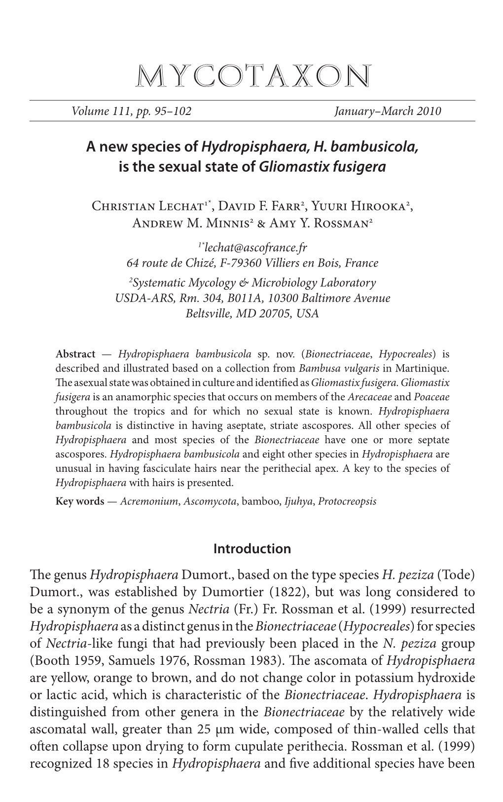 A New Species of &lt;I&gt;Hydropisphaera, H. Bambusicola&lt;/I&gt;, Is the Sexual