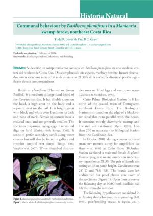 Historia Natural Communal Behaviour by Basiliscus Plumifrons in a Manicaria Swamp Forest, Northeast Costa Rica