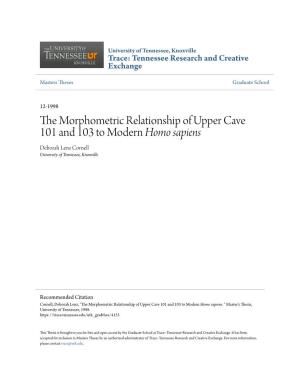 The Morphometric Relationship of Upper Cave 101 and 103