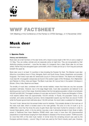 Musk Deer Moschus Spp