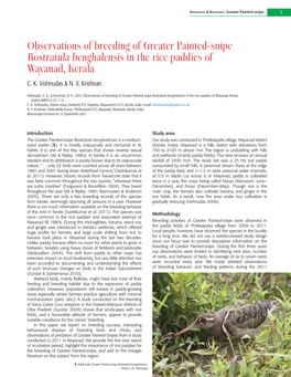 Observations of Breeding of Greater Painted-Snipe Rostratula Benghalensis in the Rice Paddies of Wayanad, Kerala C