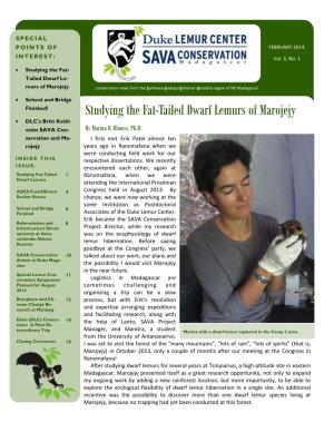 Studying the Fat-Tailed Dwarf Lemurs of Marojejy DLC's Britt Keith Visits SAVA Con- by Marina B