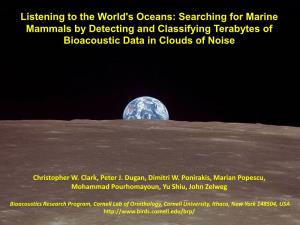 Listening to the World's Oceans: Searching for Marine Mammals by Detecting and Classifying Terabytes of Bioacoustic Data in Clouds of Noise
