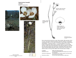Calochortus Howellii Liliaceae Howell’S Mariposa Lily