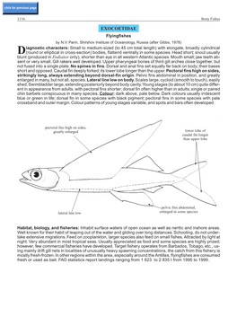 EXOCOETIDAE Flyingfishes by N.V