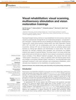 Visual Scanning, Multisensory Stimulation and Vision Restoration Trainings