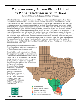 Common Woody Browse Plants Utilized by White-Tailed Deer in South Texas by Daniel J