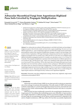Arbuscular Mycorrhizal Fungi from Argentinean Highland Puna Soils Unveiled by Propagule Multiplication