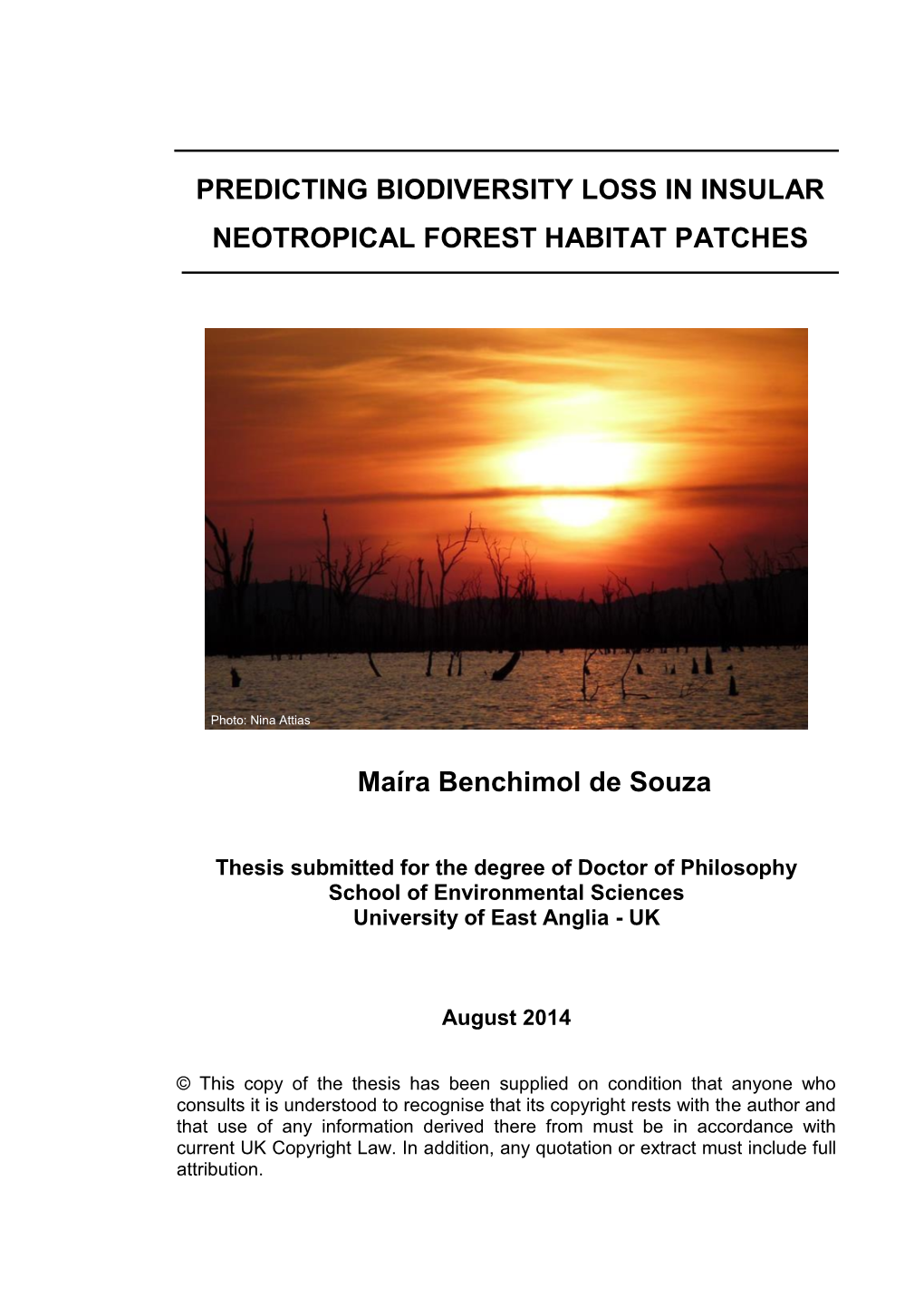 Predicting Biodiversity Loss in Insular Neotropical Forest Habitat Patches
