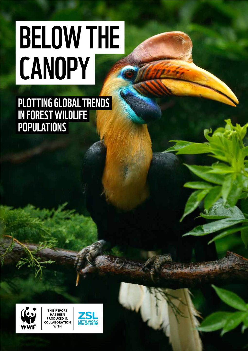 Plotting Global Trends in Forest Wildlife Populations