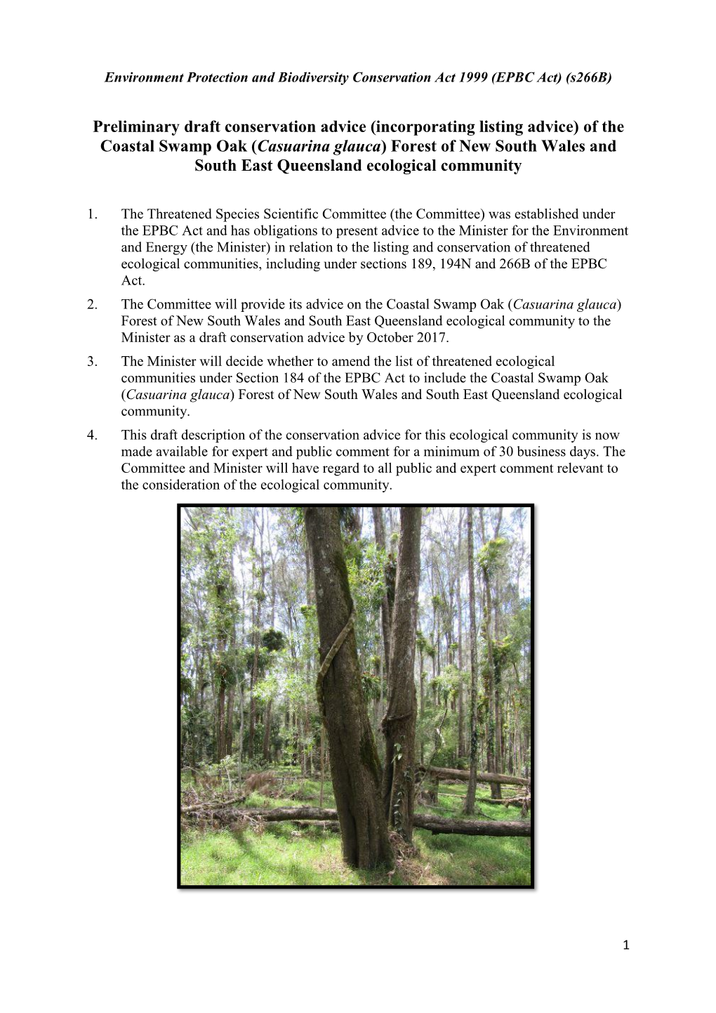 Of the Coastal Swamp Oak (Casuarina Glauca) Forest of New South Wales and South East Queensland Ecological Community